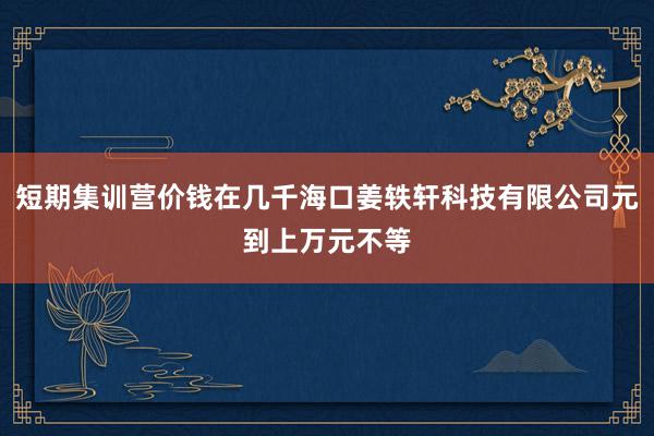 短期集训营价钱在几千海口姜轶轩科技有限公司元到上万元不等