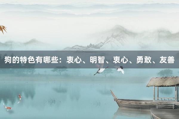 狗的特色有哪些：衷心、明智、衷心、勇敢、友善
